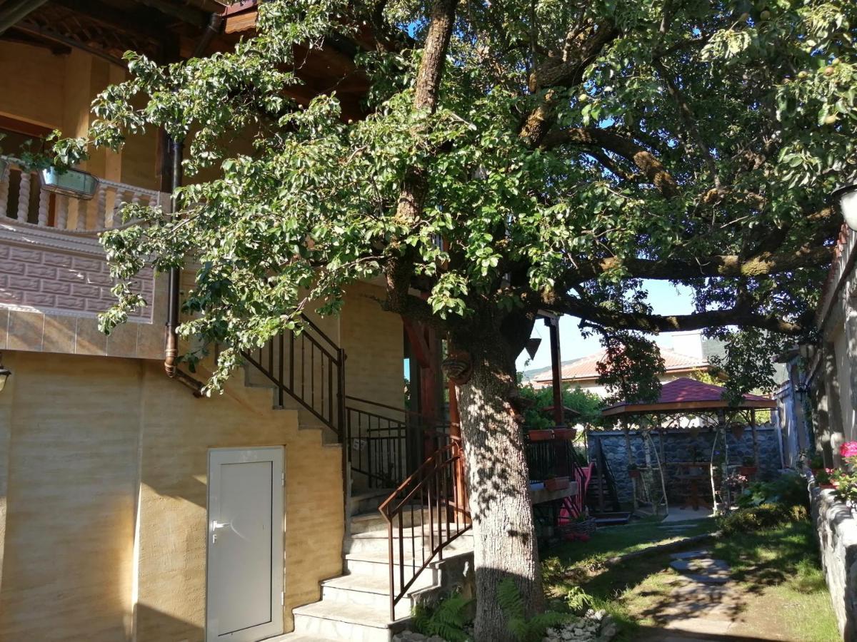 Dariya Guest House Sapareva Banya Buitenkant foto