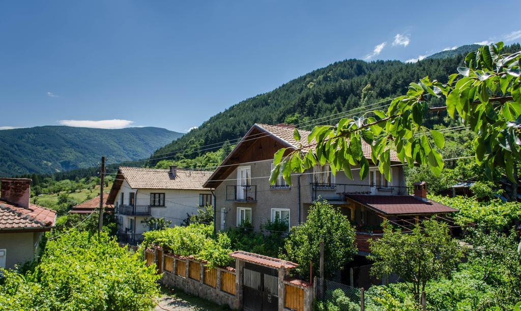 Dariya Guest House Sapareva Banya Buitenkant foto